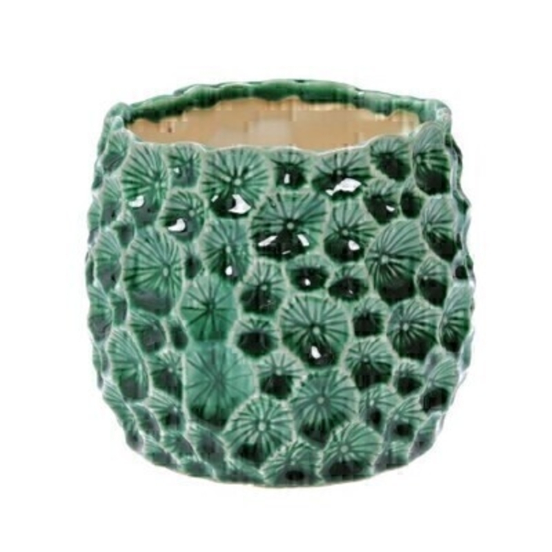<p>Small Green patterned Ceramic Pot Cover By the designer Gisela Graham who designs really beautiful gifts for your garden and home. Suitable for an artifical or real plant and comes available in small and large sizes. Great to show off your plants and would look great on its own or as part of the set. Would make an ideal gift for a gardener or someone who likes plants. This is the Small version. Size (LxWxD) 11x10.5x11cm</p>